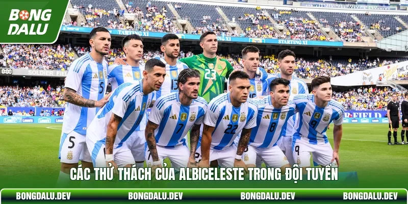 Các thử thách của Albiceleste trong đội tuyển