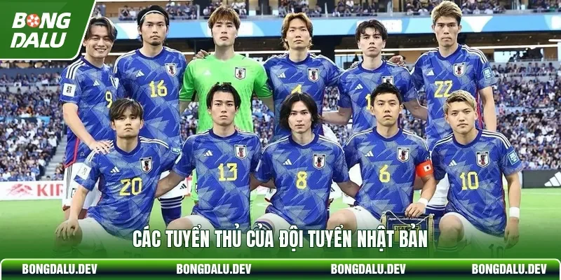 Các tuyển thủ của đội tuyển Nhật Bản