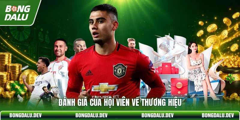 Đánh giá của hội viên về thương hiệu