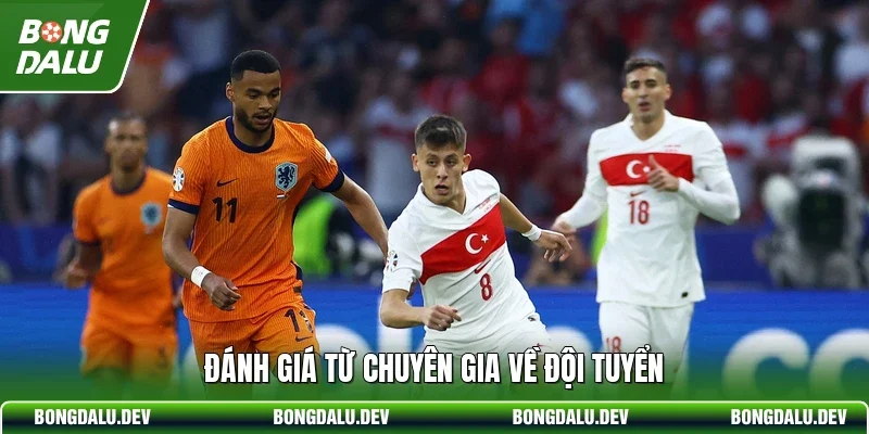 Đánh giá từ chuyên gia về đội tuyển