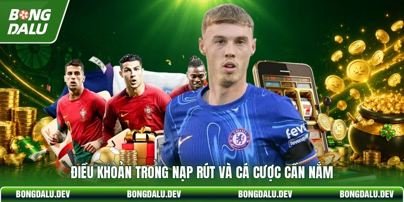Điều khoản trong nạp rút và cá cược cần nắm