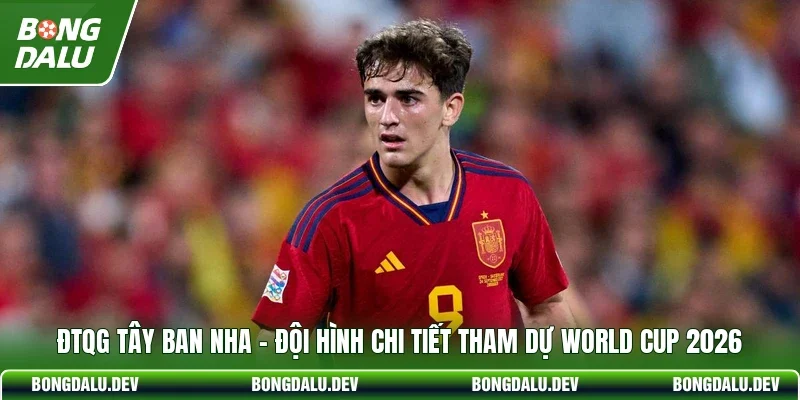 ĐTQG Tây Ban Nha - Đội Hình Chi Tiết Tham Dự World Cup 2026