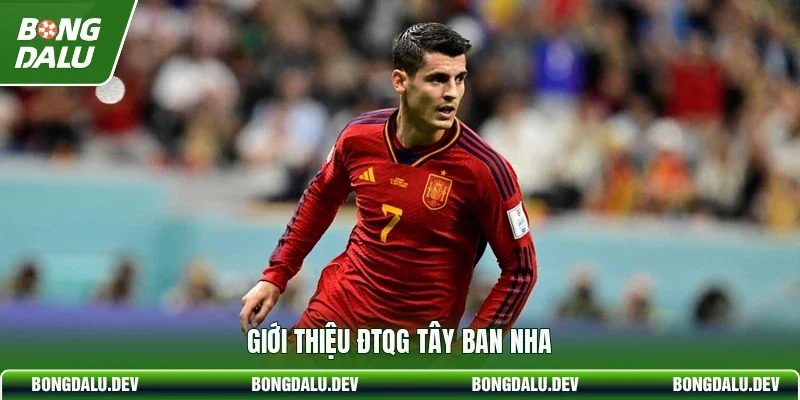 Giới thiệu ĐTQG Tây Ban Nha