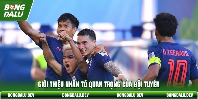 Giới thiệu nhân tố quan trọng của đội tuyển