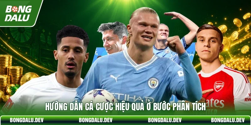 Hướng dẫn cá cược hiệu quả ở bước phân tích