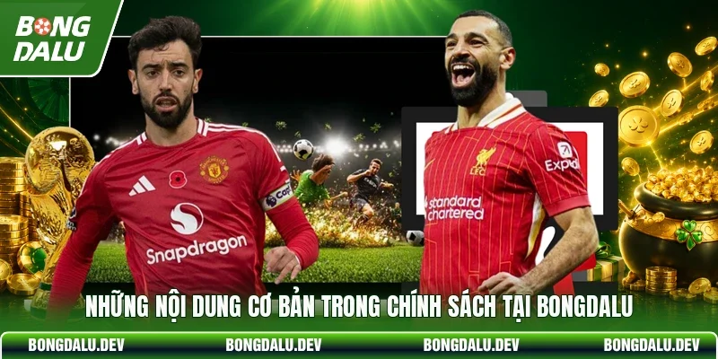 Những nội dung cơ bản trong chính sách tại bongdalu