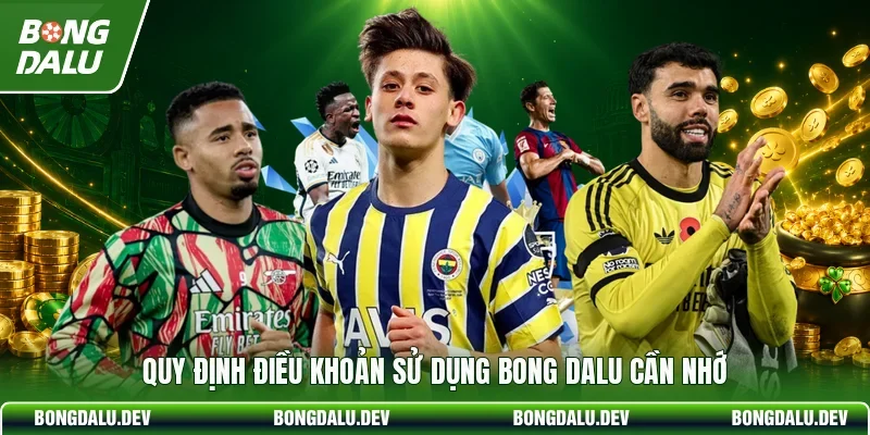 Quy định điều khoản sử dụng bong dalu cần nhớ
