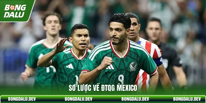 Sơ lược về ĐTQG Mexico