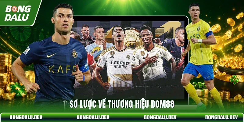 Sơ lược về thương hiệu DOM88