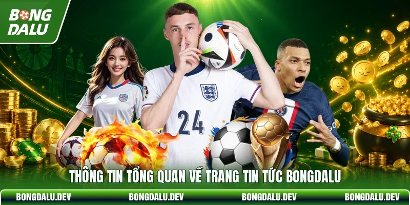 Thông tin tổng quan về trang tin tức Bongdalu