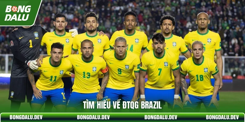 Tìm hiểu về ĐTQG Brazil