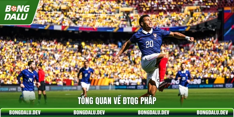 Tổng quan về ĐTQG Pháp