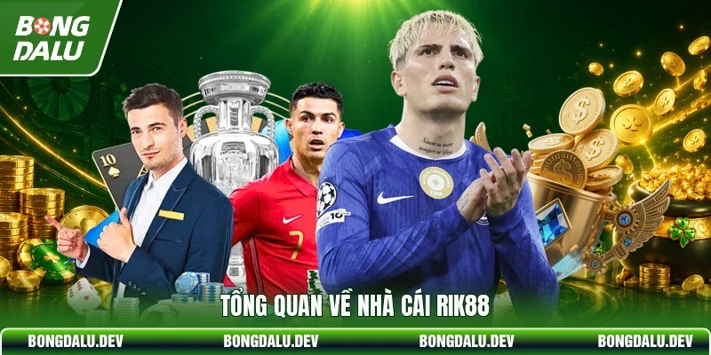 Tổng quan về nhà cái RIK88
