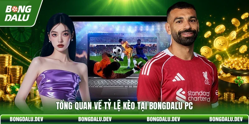 Tổng quan về tỷ lệ kèo tại bongdalu pc